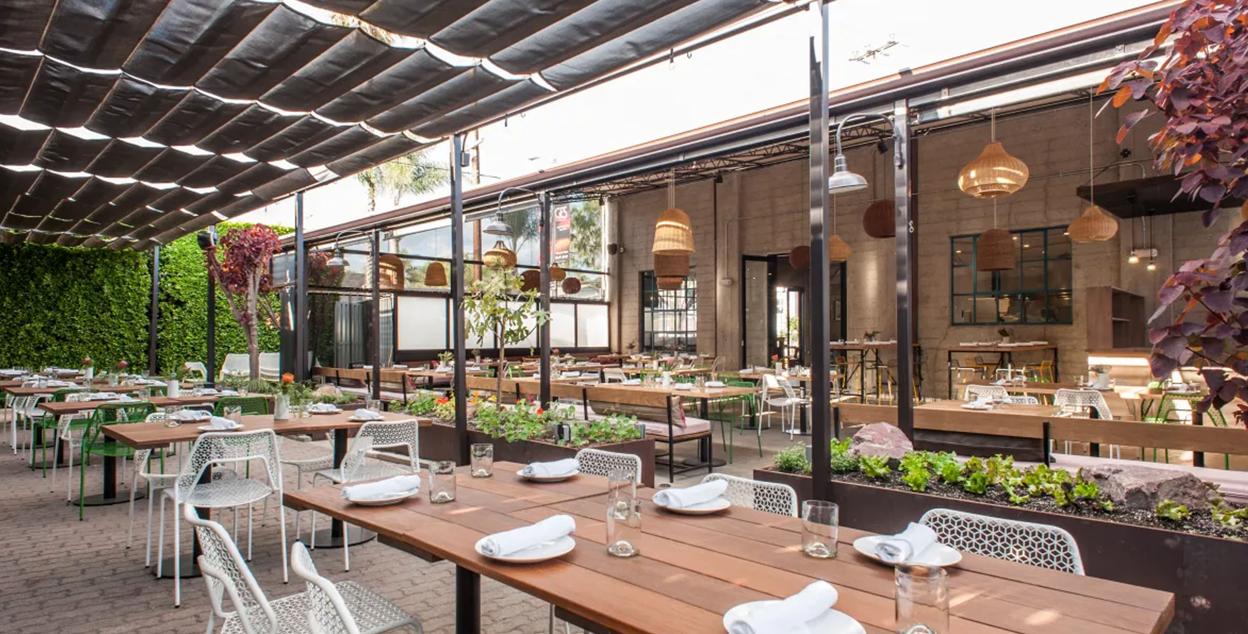 California style dining area with wooden tables, metal chairs, and plants in a modern restaurant setting